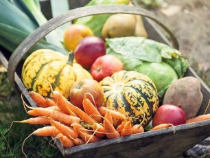 Wooden basket full of fresh, organic vegetables