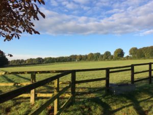 Equestrian Property