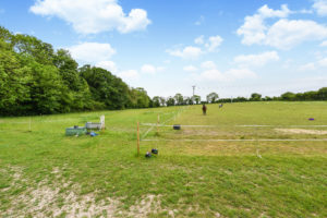 View of the paddock land