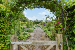 Part of the land with West Meon property