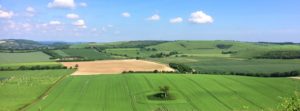 The Country House Company Properties in South Downs National Park