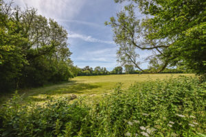For sale in Monkwood Hampshire