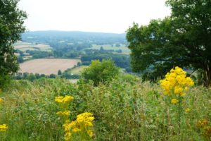 Properties available sales and rentals through The Country House Company