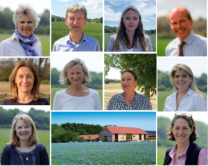 Property available Hampshire