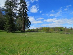 The Country House Company property to let Steep Marsh, Petersfield, Hampshire