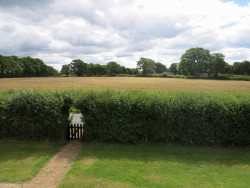 Property Image #10 of 12