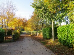 Property Image #19 of 20