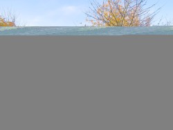 The Country House Company property for let, Privett, Nr Petersfield / Winchester / Alton, Hampshire