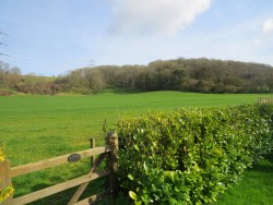 Property Image #4 of 27