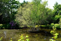 The Country House Company property for let, Kirdford West Sussex, Near Haslemere / Petworth