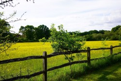 The Country House Company property for let, Kirdford West Sussex, Near Haslemere / Petworth