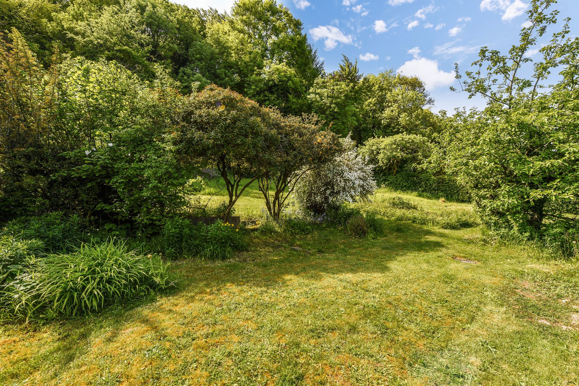 The Country House Company property for sale Hambledon