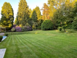 Property Image #15 of 15