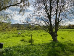 The Country House Company property for let, East Harting, Nr Petersfield, West Sussex  
