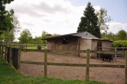 The Country House Company property for let Fordingbridge New Forest, Nr Salisbury / Winchester