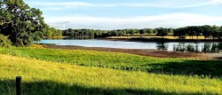 Property Image #16 of 17