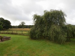 Property Image #8 of 8