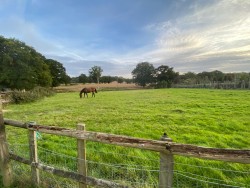 Property Image #6 of 8
