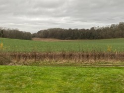 Property Image #11 of 12