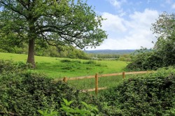 The Country House Company property for let, Hawkley, Nr Petersfield / Liss, Hampshire