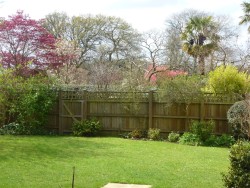 Property Image #12 of 12