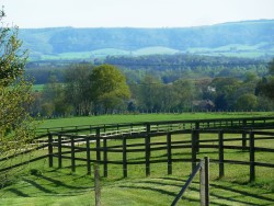 Property Image #8 of 10