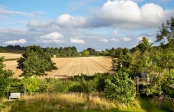 Property Image #13 of 14