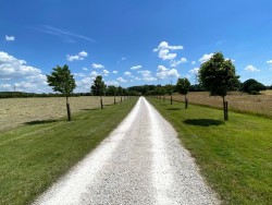Property Image #12 of 13
