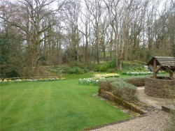 Property Image #13 of 14