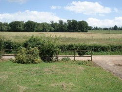 Property Image #13 of 14