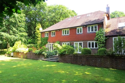 Durford Wood, Petersfield, Hampshire