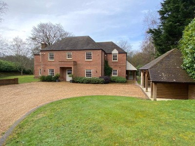 Durford Wood, Petersfield, Hampshire