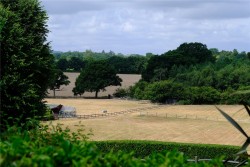 Property Image #11 of 11