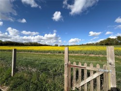 Property Image #13 of 14