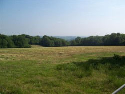 Property Image #8 of 9