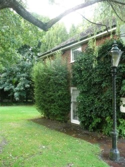 Property Image #9 of 9