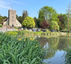 Property Image #13 of 15