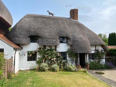 Lower Froyle, Nr Bentley / Alton/ Farnham, Hampshire