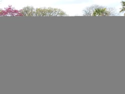 Property Image #11 of 11