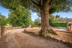 Property Image #16 of 17