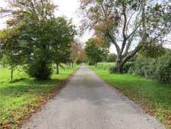 Property Image #12 of 12